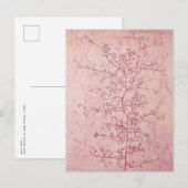 Paul Klee - Roze lente in Deep Winter Briefkaart (Voorkant / Achterkant)