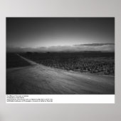 Paul Masson Vineyard van Ansel Adams in Soledad Poster (Voorkant)