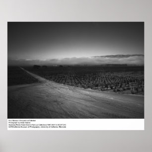 Paul Masson Vineyard van Ansel Adams in Soledad Poster