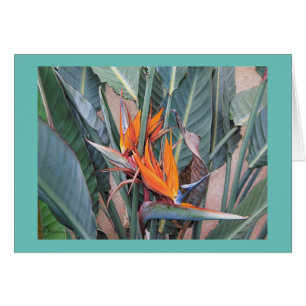 Paul McGehee "Bird of Paradise" Kaart