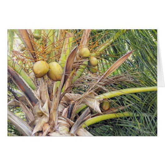 Paul McGehee "Coconuts" Kaart (Voorkant Horizontaal)
