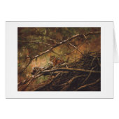 Paul McGehee "Little Rascal"-kaart (Voorkant Horizontaal)