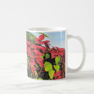 Paul McGehee "Poinsettias" Mok