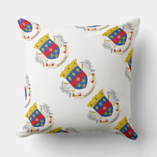 Paul McGehee "St. Barth's Flag" Pillow Kussen (Voorkant)