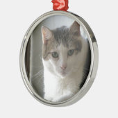 Paul Metalen Ornament (Links)