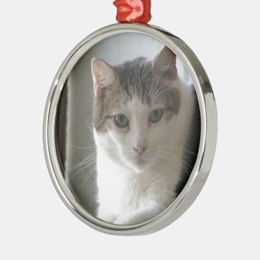 Paul Metalen Ornament (Links)