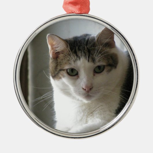 Paul Metalen Ornament (Voorkant)