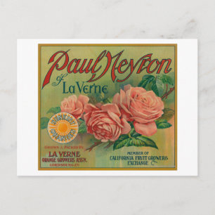 Paul Neyron van La Verne Oranje Label Briefkaart