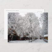 Paul Revere Mall Trees bedekt met wintersneeuw Briefkaart (Voorkant / Achterkant)