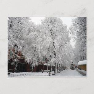 Paul Revere Mall Trees bedekt met wintersneeuw Briefkaart