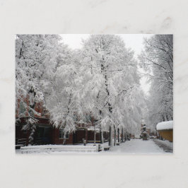 Paul Revere Mall Trees bedekt met wintersneeuw Briefkaart