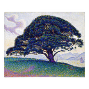Paul Signac - De Bonaventure Pine Foto Afdruk