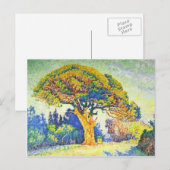 Paul Signac - De pijnboom in St. Tropez Briefkaart (Voorkant / Achterkant)