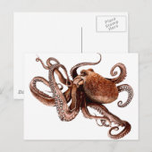 Paul The Octopus Briefkaart (Voorkant / Achterkant)