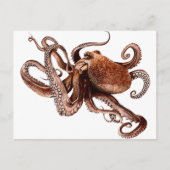 Paul The Octopus Briefkaart (Voorkant)