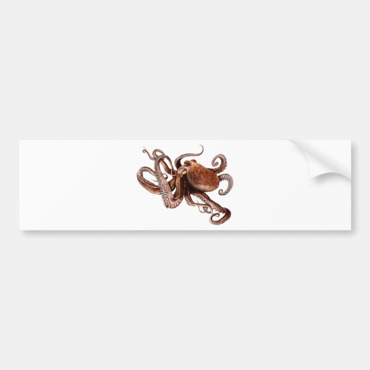 Paul The Octopus Bumpersticker (Voorkant)