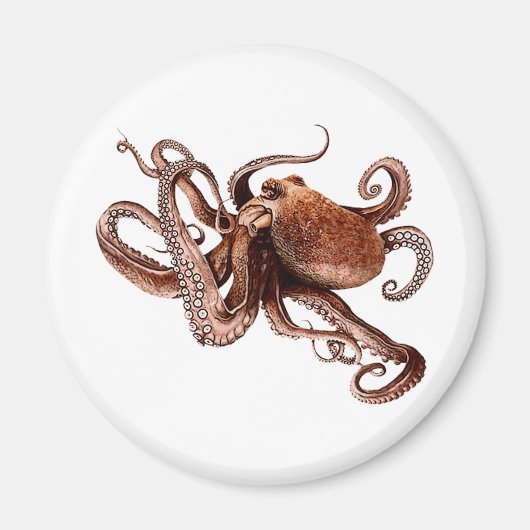 Paul The Octopus Magneet (Voorkant)