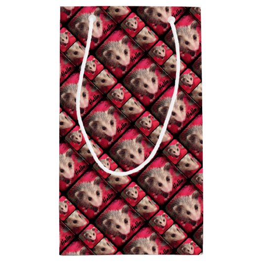 Paulee the Little O'Possum from Southern Indiana Klein Cadeauzakje (Achterkant)