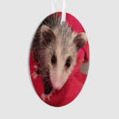 Paulee the Little O'Possum from Southern Indiana Ornament (voorkant)