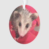 Paulee the Little O'Possum from Southern Indiana Ornament (voorkant)
