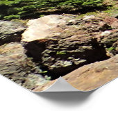Paulina Creek Herfsten, Oregon Poster (Hoek)