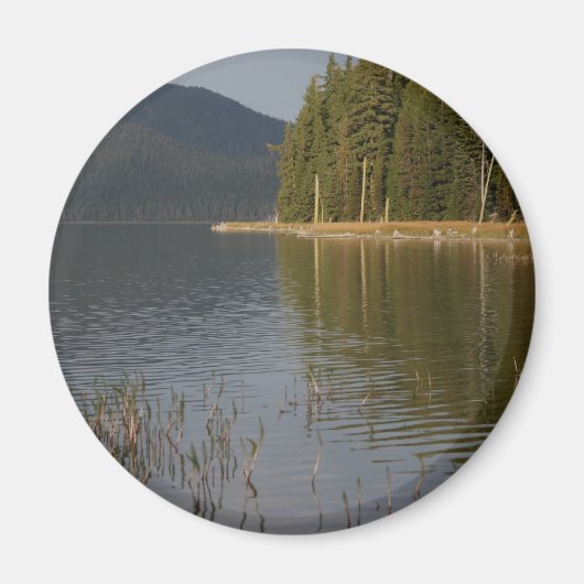 Paulina Lake, Oregon Magneet (Voorkant)