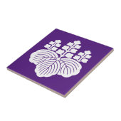 Paulownia met 5-7 bloei tegeltje (Zijkant)