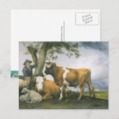 Paulus Potter Briefkaart (Voorkant / Achterkant)