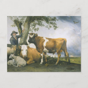 Paulus Potter Briefkaart