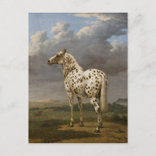 Paulus Potter - het Piebald-paard. Vintage-image Briefkaart