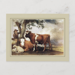 Paulus Potter, Young Bull 1647 Briefkaart