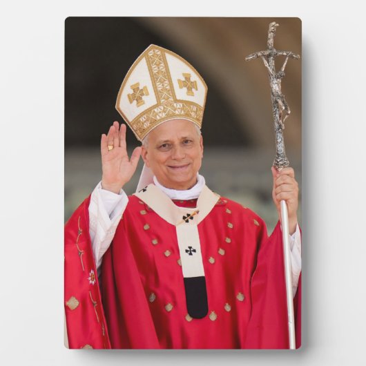 Paus Leo XIV Pinksterzondag 2025 Fotoplaat (voorkant)