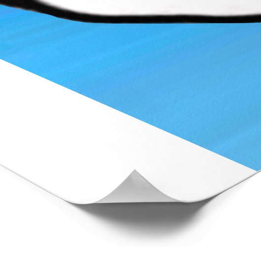 Paus met de blauwe lucht poster (Hoek)