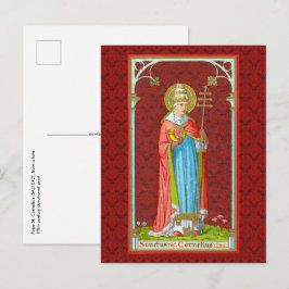 Paus St. Cornelius (SAU 042) Briefkaart
