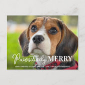 Pauspositief Kerstmis Aangepaste Foto van Hond Feestdagenkaart (Voorkant)