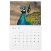 Pauw 2027 kalender (Feb 2027)