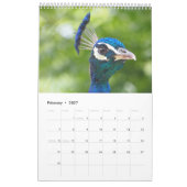 Pauw 2027 kalender (Feb 2027)