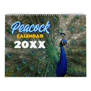 Pauw 2027 Muurfoto Kalender