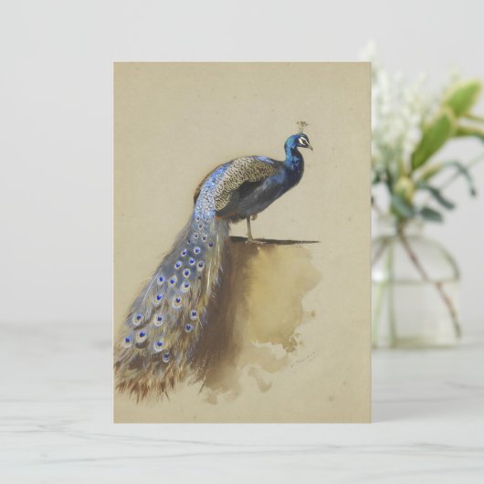 Pauw | Archibald Thorburn (Staand voorkant)