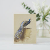 Pauw | Archibald Thorburn Briefkaart (Staand voorkant)