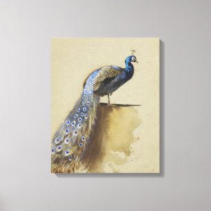 Pauw Archibald Thorburn Canvas Afdruk