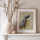 Pauw | Archibald Thorburn Poster