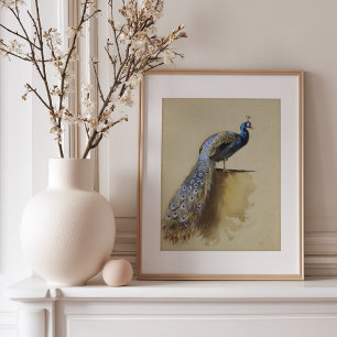 Pauw   Archibald Thorburn Poster