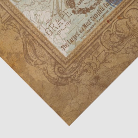  pauw bruin Antiek papier (Detail)