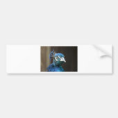 pauw bumpersticker (Voorkant)