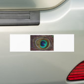 pauw bumpersticker (Op auto)