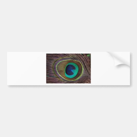 pauw bumpersticker (Voorkant)