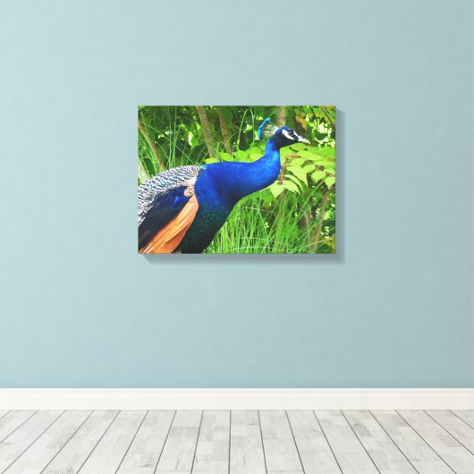 Pauw Canvas Afdruk (Insitu (Houten vloer))