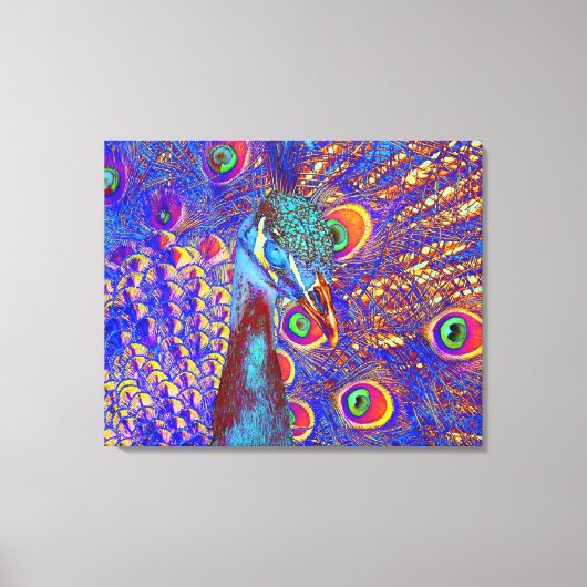 Pauw Canvas Afdruk (Voorkant)