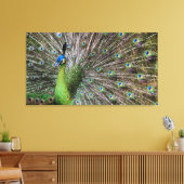 Pauw Canvas Afdruk (Insitu (Woonkamer))